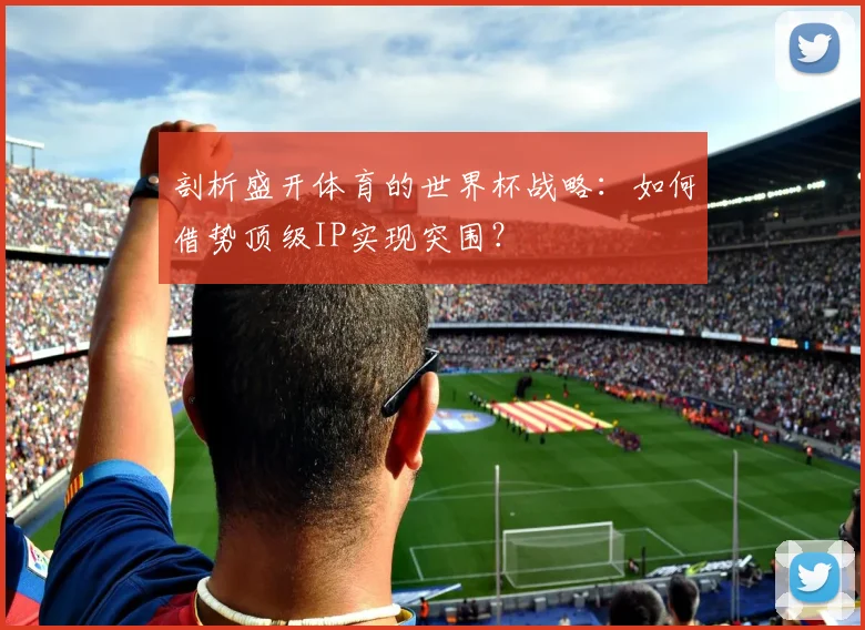 剖析盛开体育的世界杯战略：如何借势顶级IP实现突围？