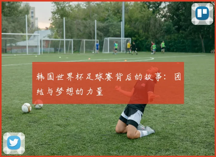 韩国世界杯足球赛背后的故事：团结与梦想的力量
