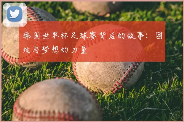 韩国世界杯足球赛背后的故事：团结与梦想的力量
