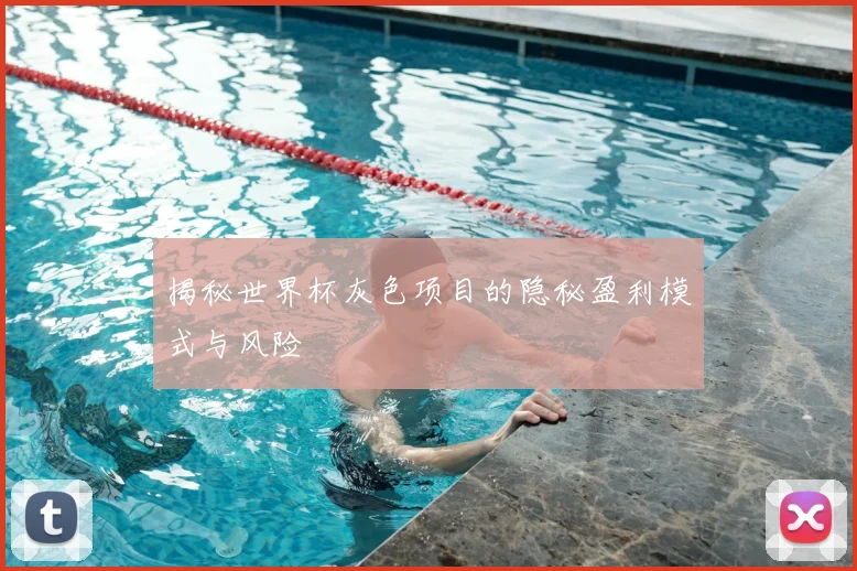 揭秘世界杯灰色项目的隐秘盈利模式与风险