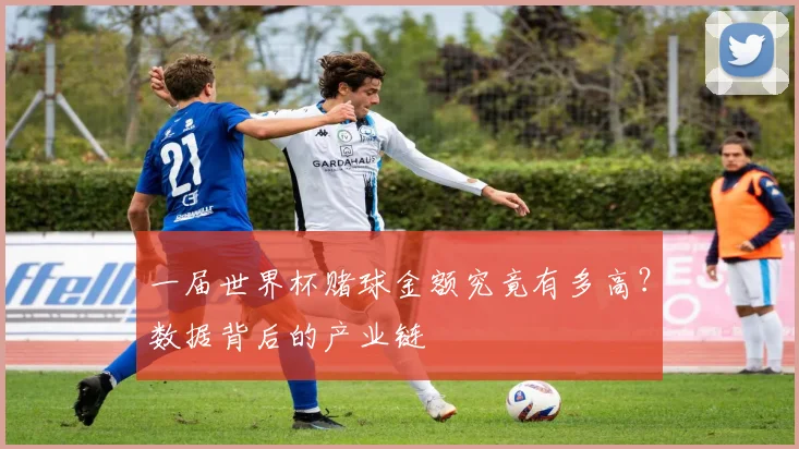 一届世界杯赌球金额究竟有多高?数据背后的产业链