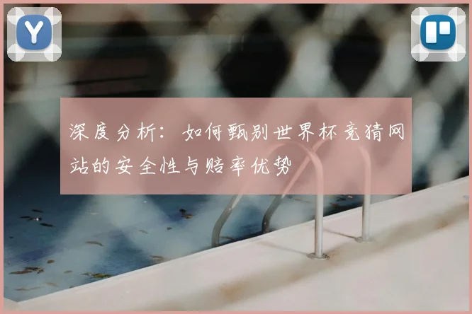 深度分析:如何甄别世界杯竞猜网站的安全性与赔率优势