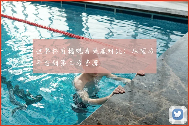 世界杯直播观看渠道对比：从官方平台到第三方资源