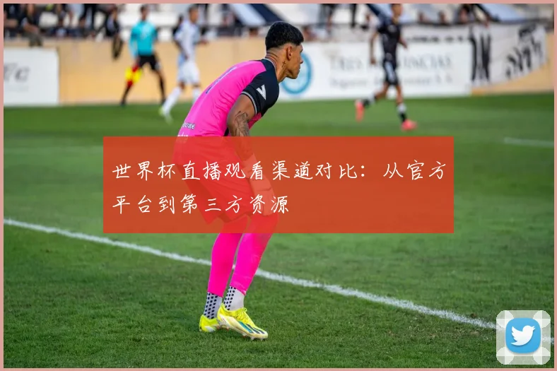 世界杯直播观看渠道对比：从官方平台到第三方资源