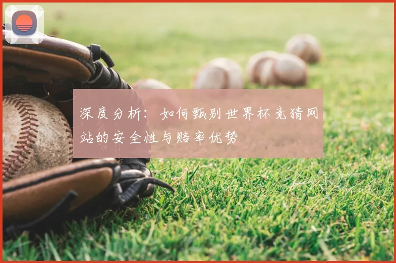 深度分析:如何甄别世界杯竞猜网站的安全性与赔率优势
