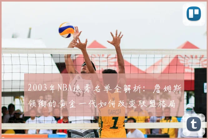 2003年NBA选秀名单全解析：詹姆斯领衔的黄金一代如何改变联盟格局