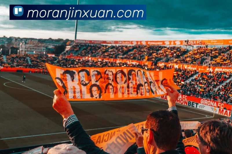 多媒体互动体验